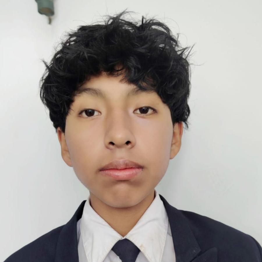 User Image
